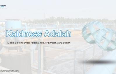 Kaldness Adalah